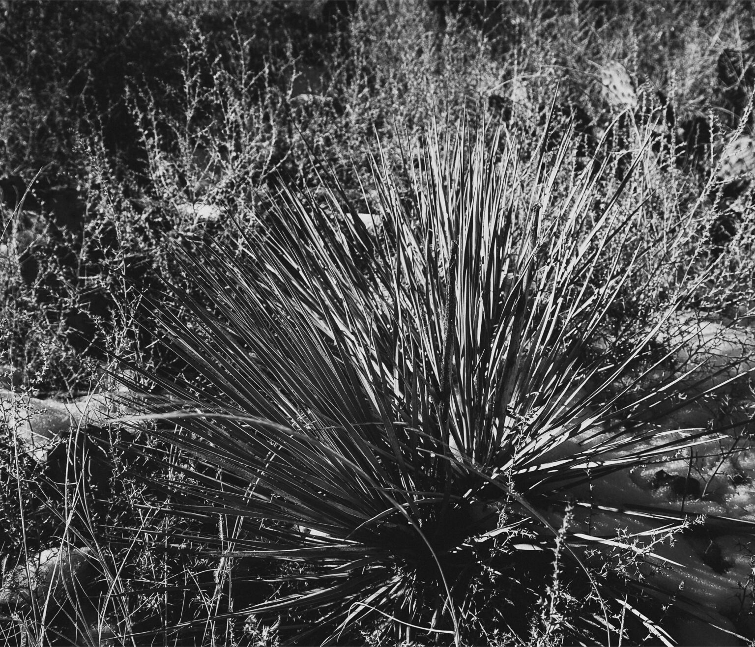 Book2_Collection Page 30