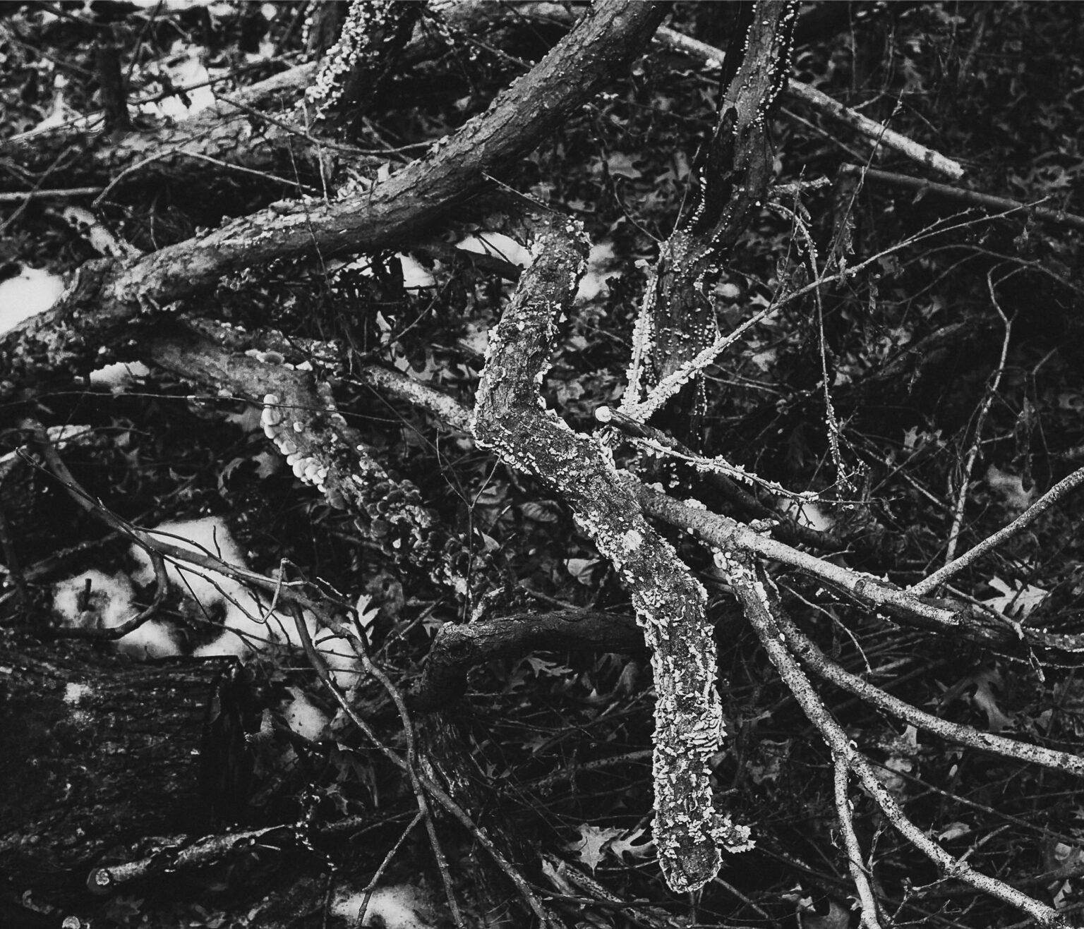 Book2_Collection Page 35