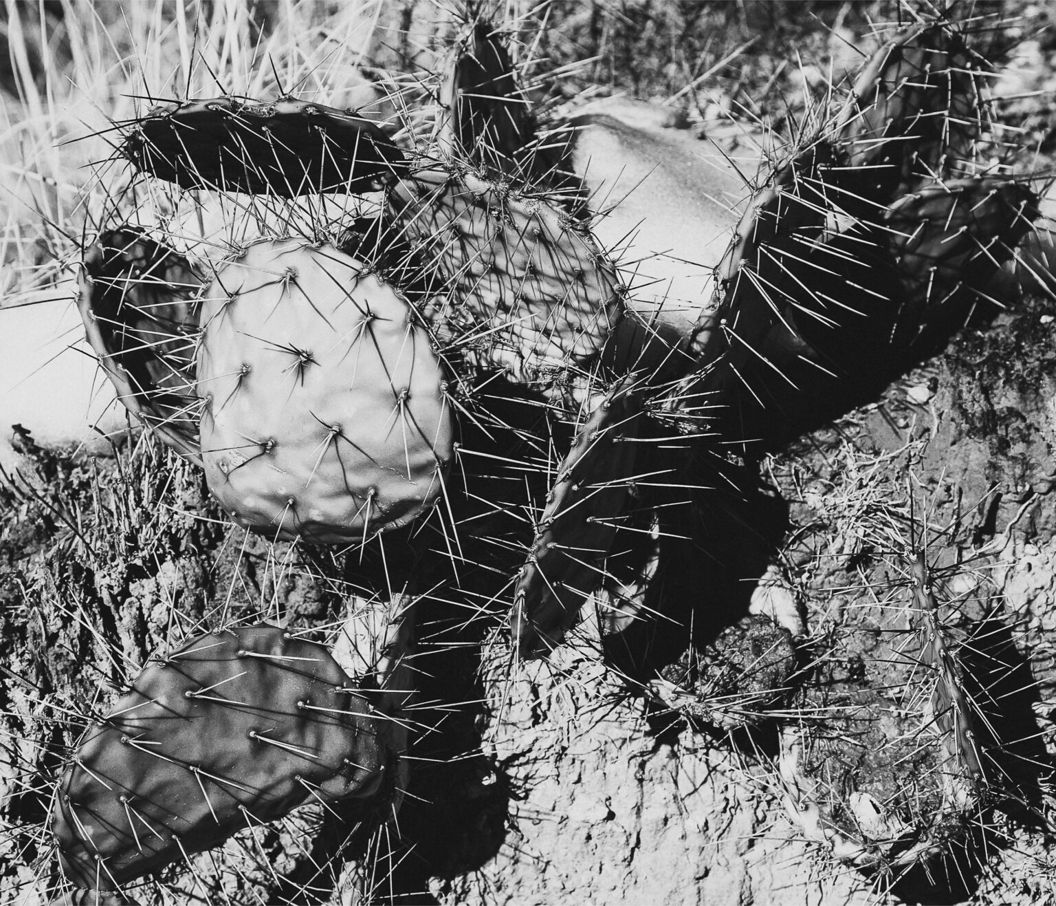 Book2_Collection Page 40