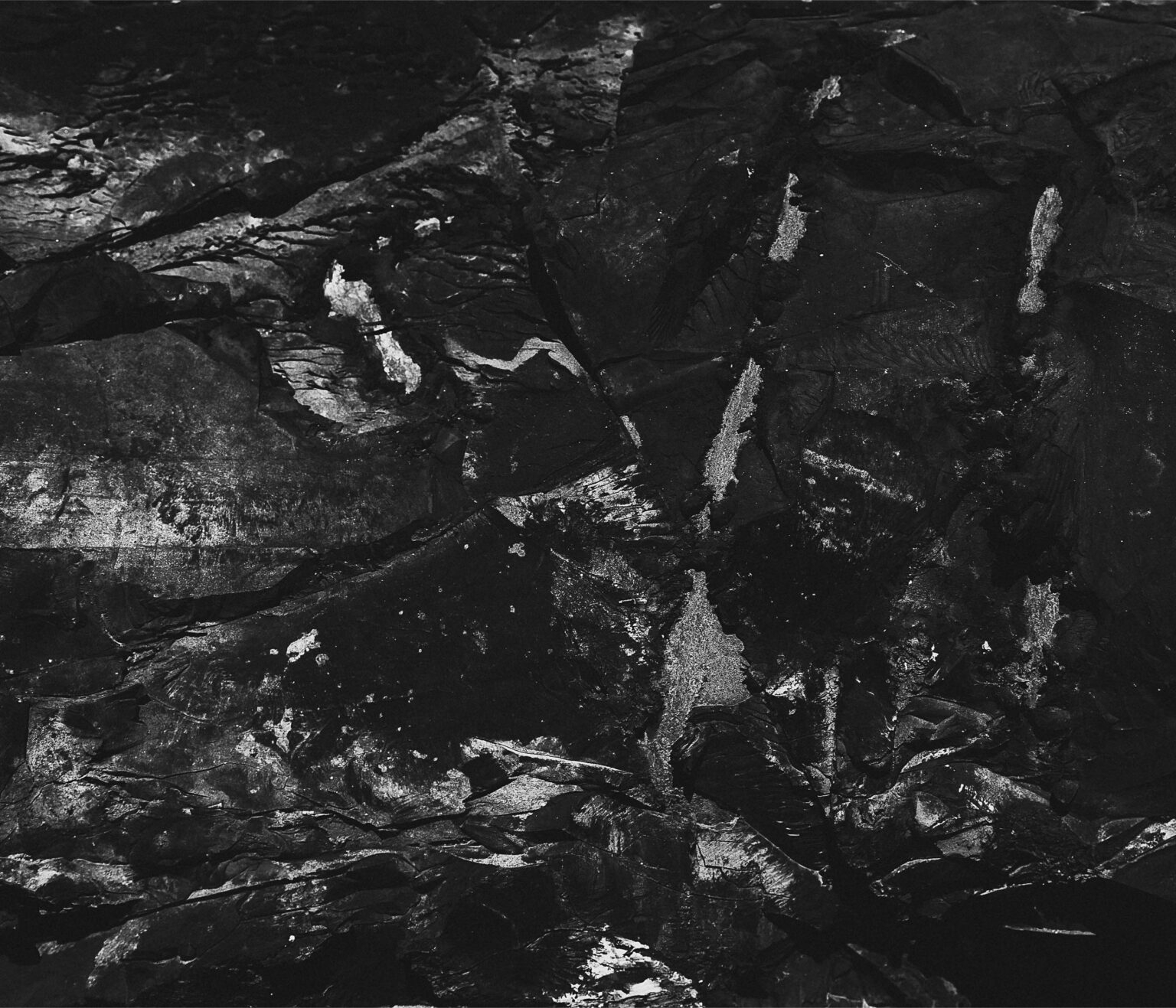 Book2_Collection Page 42