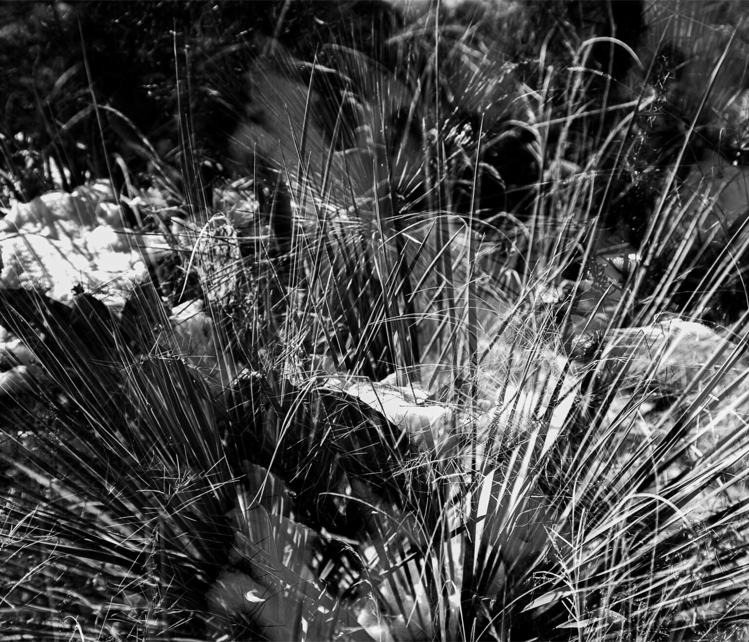 Book2_Collection Page 53