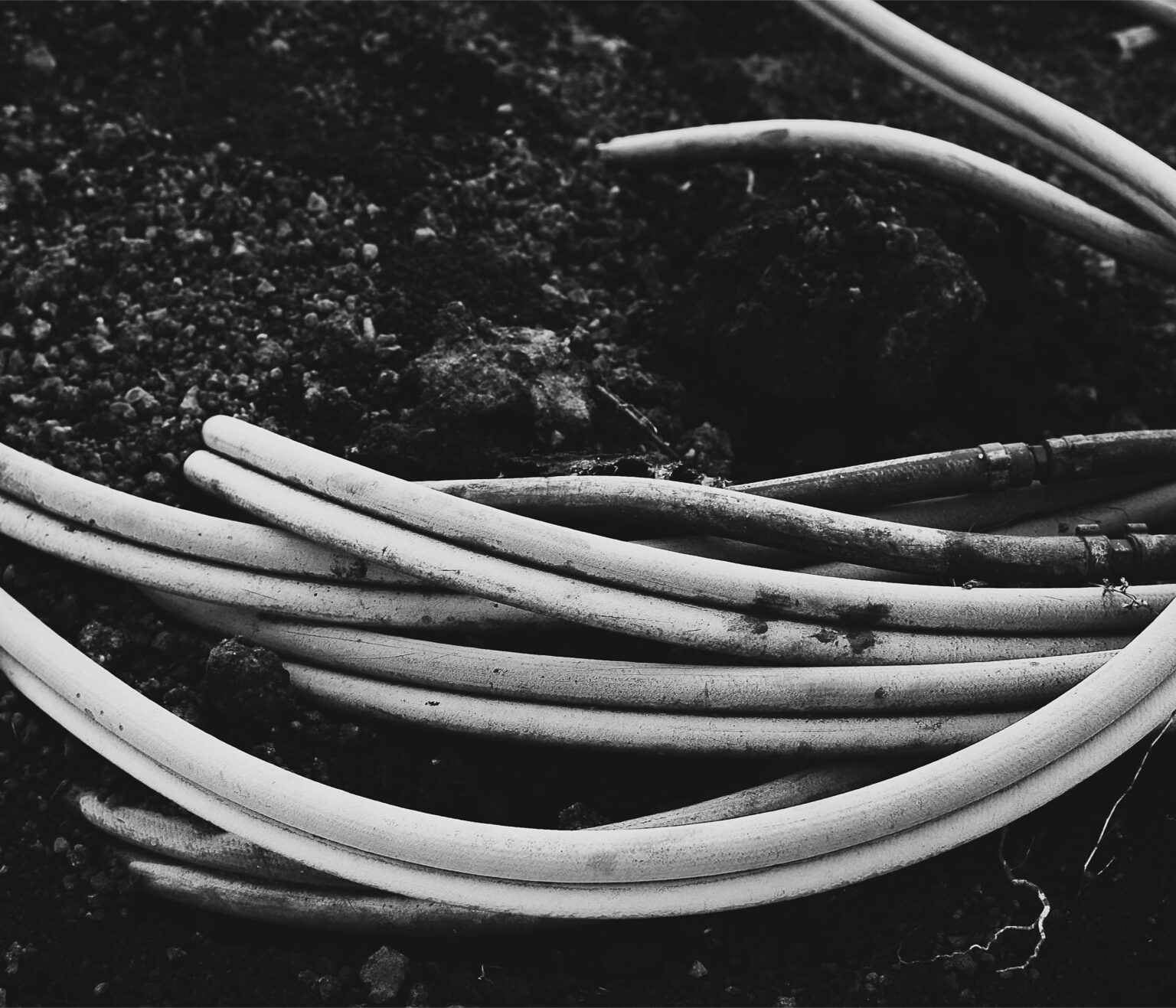 Book2_Collection Page 56